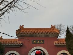 -戏马台景区