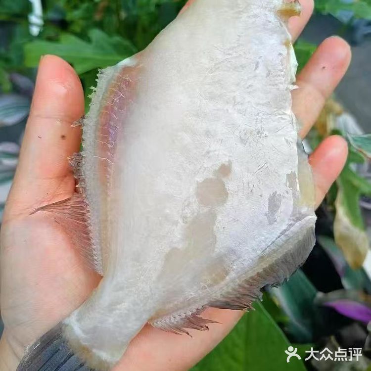 今日份耗儿鱼,鲜嫩又多汁