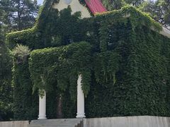 -黑龙江省森林植物园