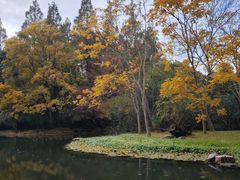 -上海共青森林公园