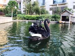 -南京圣和府邸豪华精选酒店