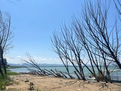 -观澜小洱海