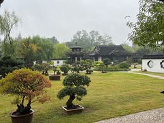 -扬州大运河文化旅游度假区·盆景园