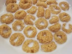 -海口绿发希尔顿酒店-田园汇自助餐·三文鱼·海鲜