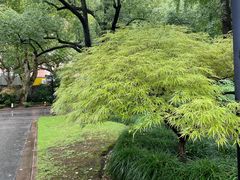-申粤轩酒楼·三十年粤菜经典(丁香花园店)