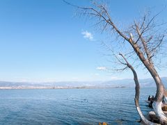 -西昌邛海湿地