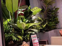 -辛香汇·现炒川菜(小寨原力场-西北首店)