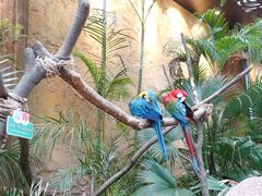 -杭州开元森泊度假乐园