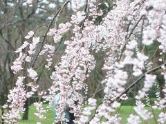 -京都御所