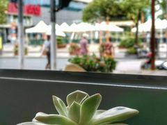 -Peet's Coffee皮爷咖啡(大学路店)