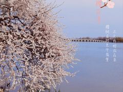 -颐和园