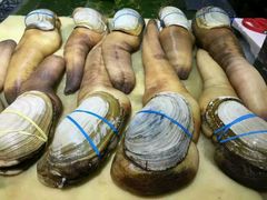 -渔民新村(番禺总店)