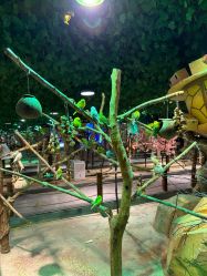 -酷嗒动物文化乐园(cutezoo西溪乐天城店)