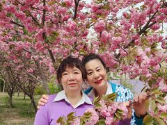 -天津东丽湖风景区