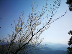 -梧桐山风景名胜区