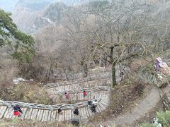 -终南山国家森林公园