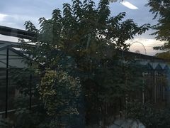 -扬州天乐湖嬉乐谷