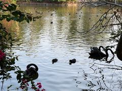 -海南热带野生动植物园