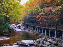 -光雾山旅游景区