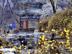 -北宫国家森林公园