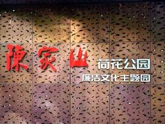-陈家山荷花公园