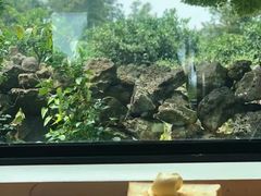 橘子酱黄油吐司-柑橘农场