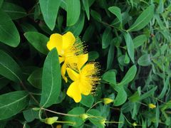 iphone_upload_pic-陈家山荷花公园