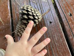 -昆山城市生态森林公园