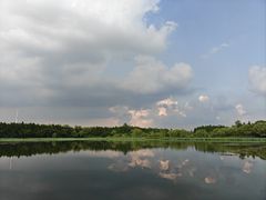 -溱湖国家湿地公园