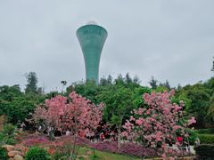 -狐尾山公园
