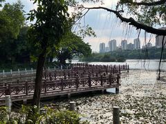 -南宁南湖公园