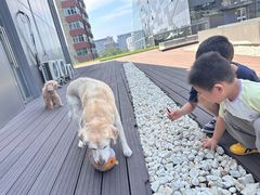 -百好乐宠物友好餐厅(朝外大街店)