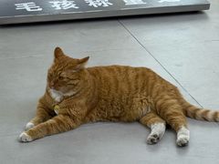 -大连美术馆