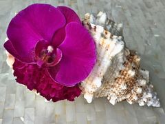 -广州四季酒店·佰鲜汇·现代法餐