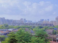 -佛山岭南天地康得思酒店