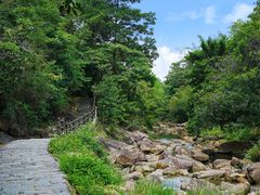 -广州白江湖森林公园