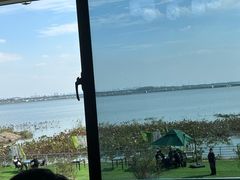 -七的湖·晚芳亭·阳澄湖农家菜·大闸蟹(莲花岛店)