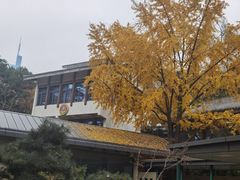 -紫峰大厦