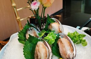 Blue Abalone