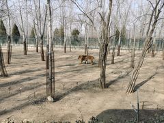 -秦皇岛野生动物园
