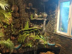 -大匠工房古船木艺术餐厅·猪肚鸡专门店(长白仙岛店)