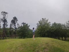 -永定河休闲森林公园