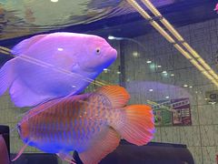 -新辉港式茶餐厅(北栅店)