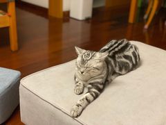 -昇记肠粉王(福华路店)