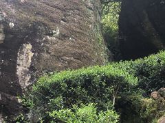 -文雅轩茶叶(锦和越界田林坊店)