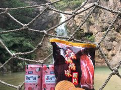 -南海湾森林生态园