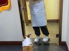 -宠爱国际动物医院· 猫科· 外科·中兽医(长白店)