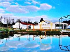 -前小桔亲子创意农场·草莓采摘·露营烧烤