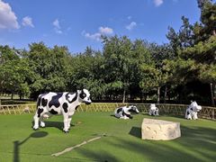 -长春公园(普阳街道)