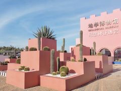 -漳州滨海火山岛自然生态风景区